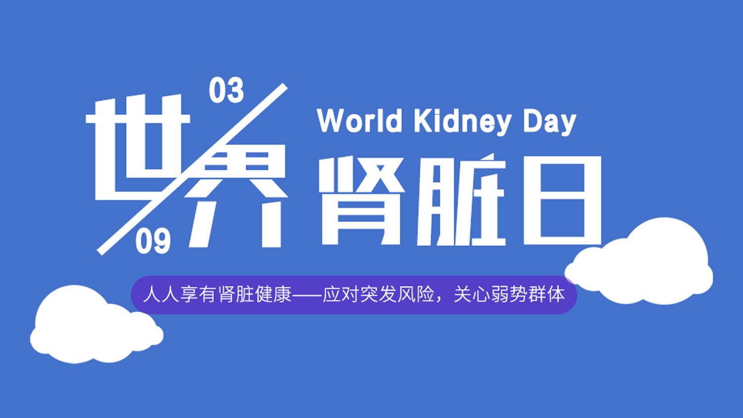 世界腎臟日丨“人人享有腎臟健康”，syva全力守護用藥安全
